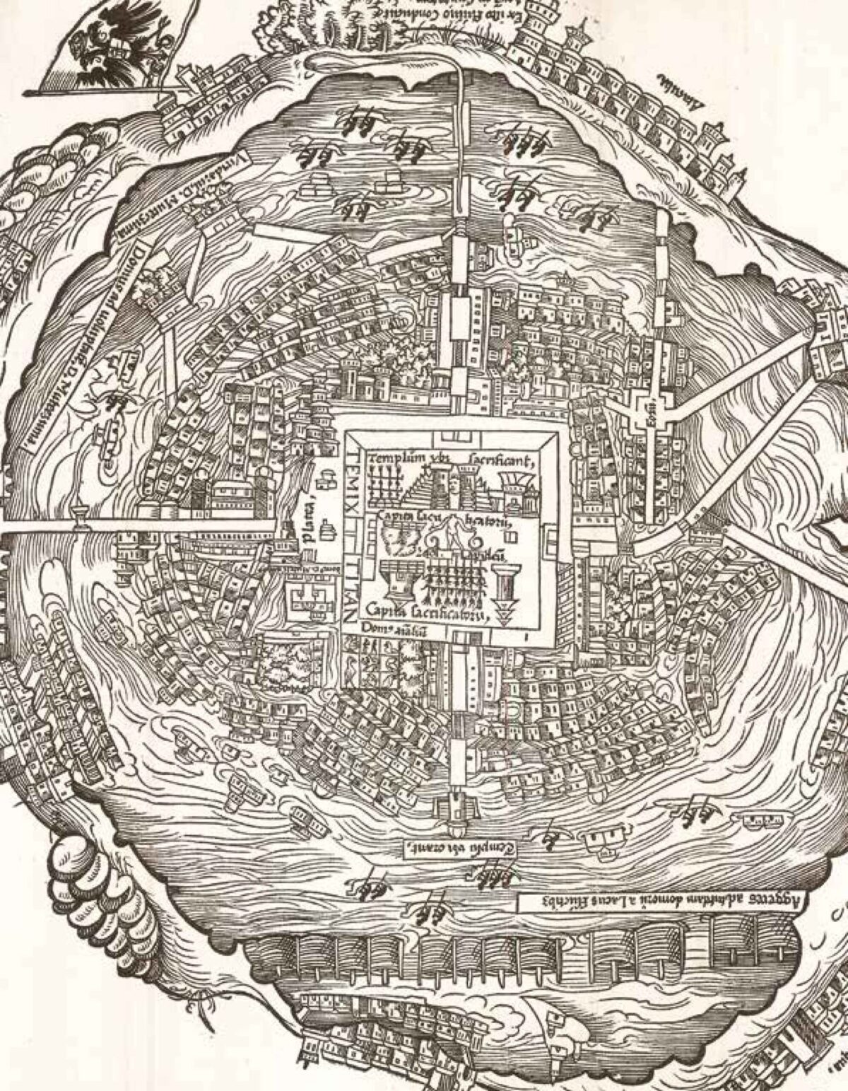 Turtle Island