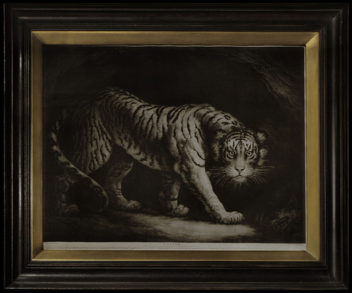 NORTHCOTE, J[ames]; and John MURPHY Tyger.