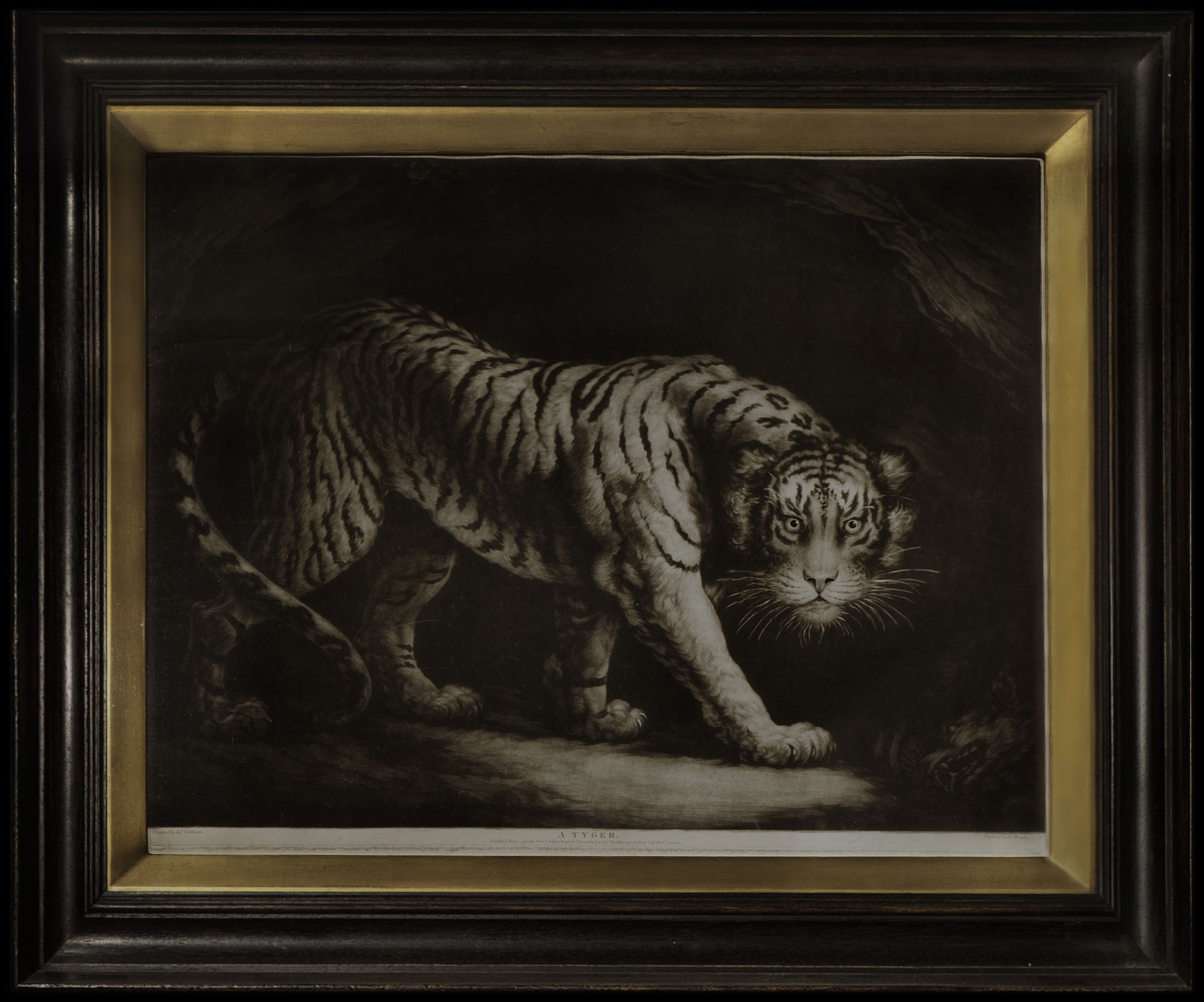 NORTHCOTE, J[ames]; and John MURPHY Tyger.