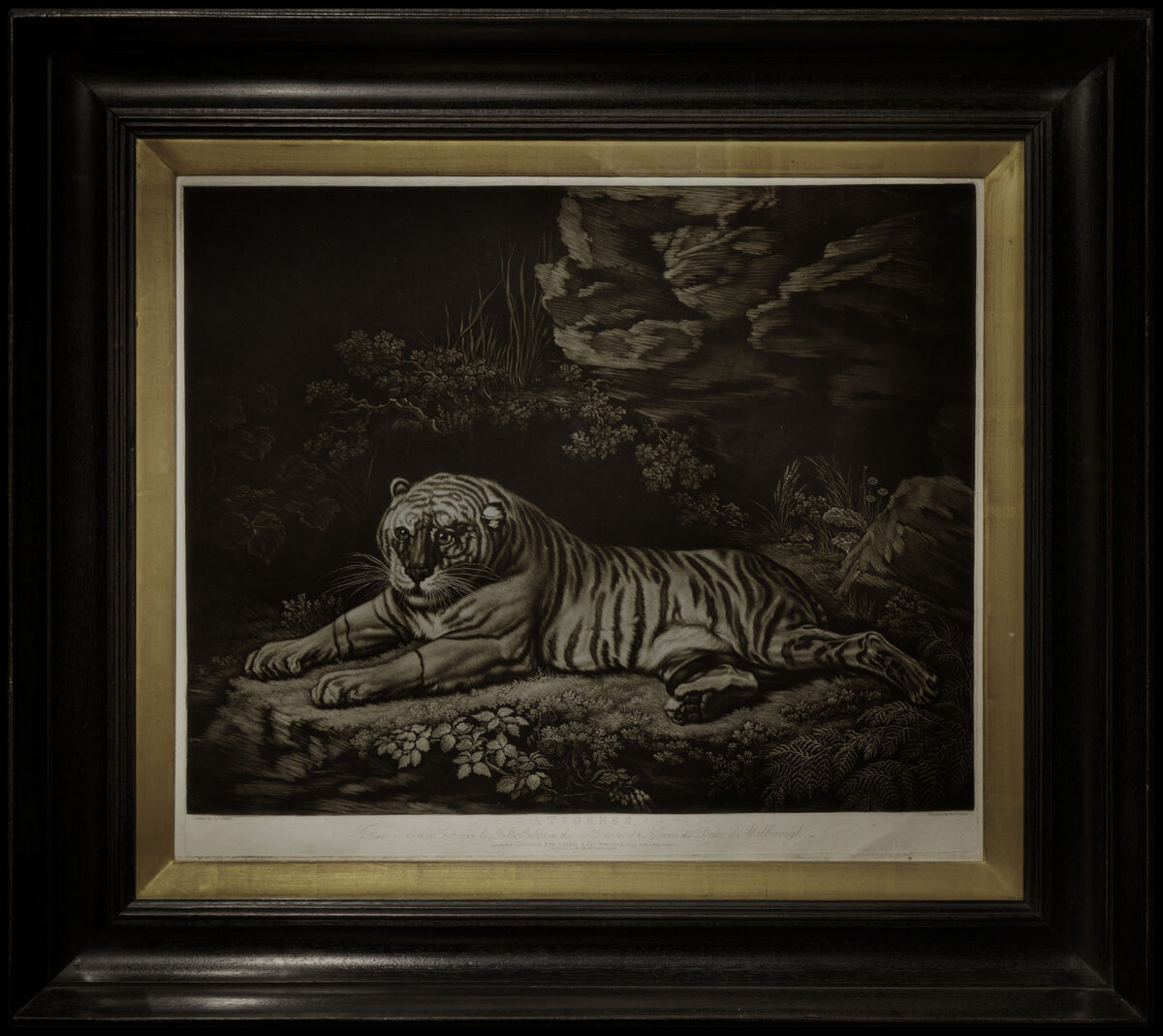 STUBBS, G[eorge]; and Robert LAURIE A Tigress.