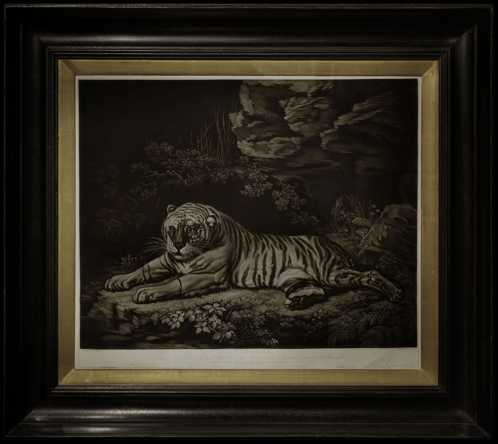 STUBBS, G[eorge]; and Robert LAURIE A Tigress.