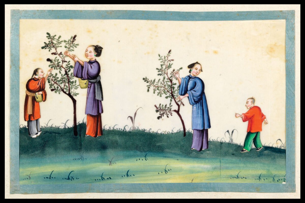 [?YOUQUA] Chinese Watercolours