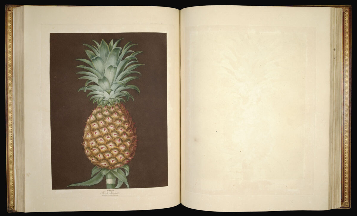 BROOKSHAW, George Pomona Britannica;