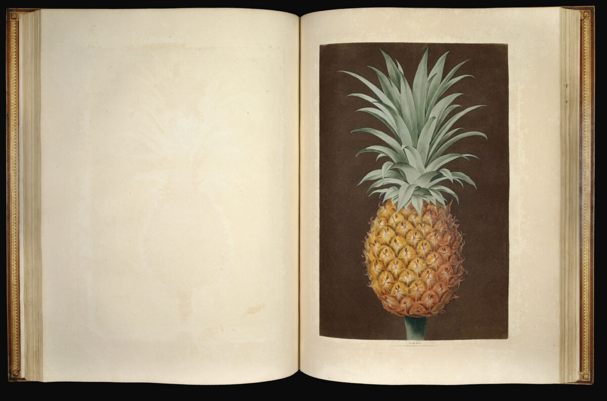 BROOKSHAW, George Pomona Britannica;