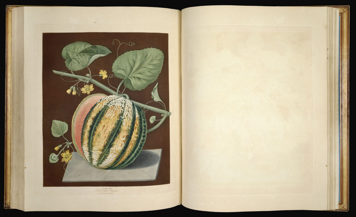BROOKSHAW, George Pomona Britannica;