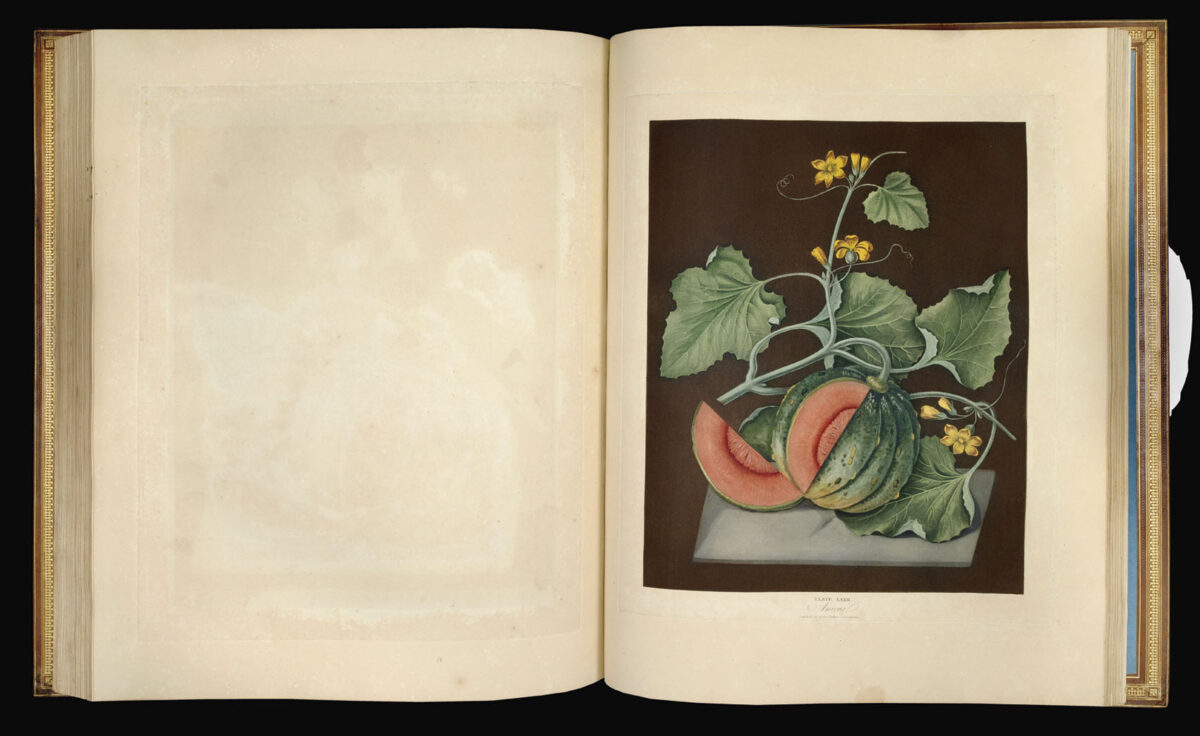 BROOKSHAW, George Pomona Britannica;