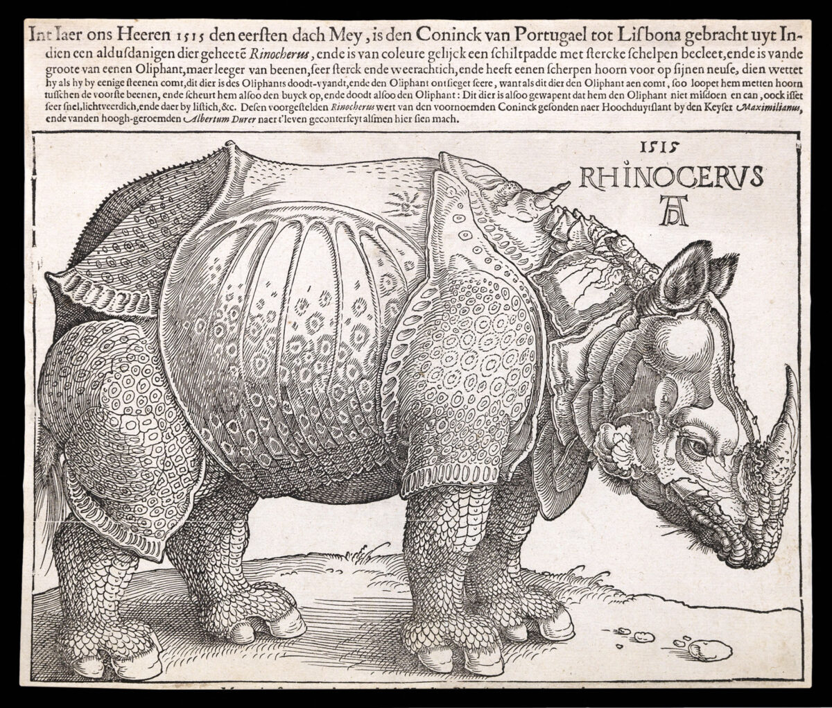 DÜRER, Albrecht Rhinocervs
