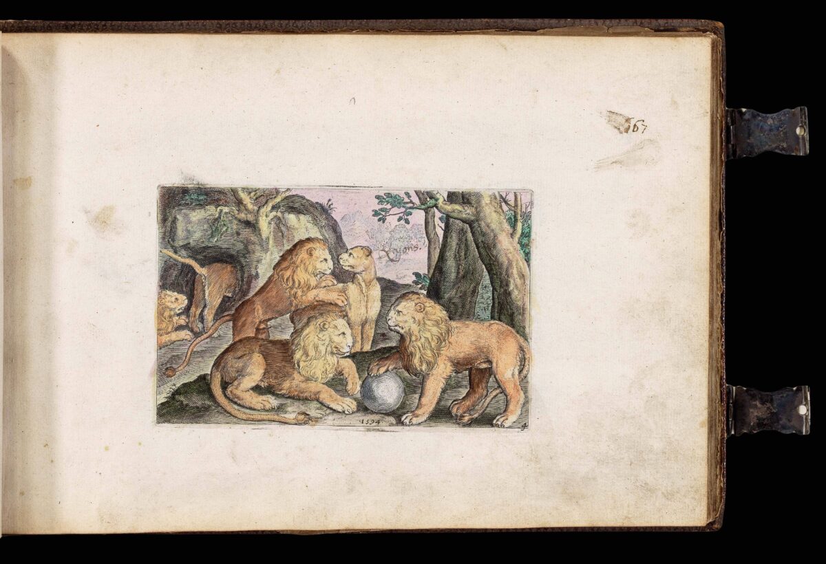 WOUTNEEL, Hans; Crispin de PASSE, the elder and younger; and VISSCHER, Claez Jansz, after Jacob and Joris HOEFNAGEL, Assuerus van LONDERSEEL, Nicolaes de BRUYN, and Adrian COLLAERT [Untitled album of Natural History engravings].