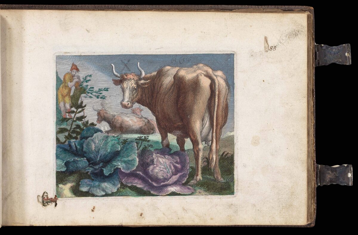 WOUTNEEL, Hans; Crispin de PASSE, the elder and younger; and VISSCHER, Claez Jansz, after Jacob and Joris HOEFNAGEL, Assuerus van LONDERSEEL, Nicolaes de BRUYN, and Adrian COLLAERT [Untitled album of Natural History engravings].