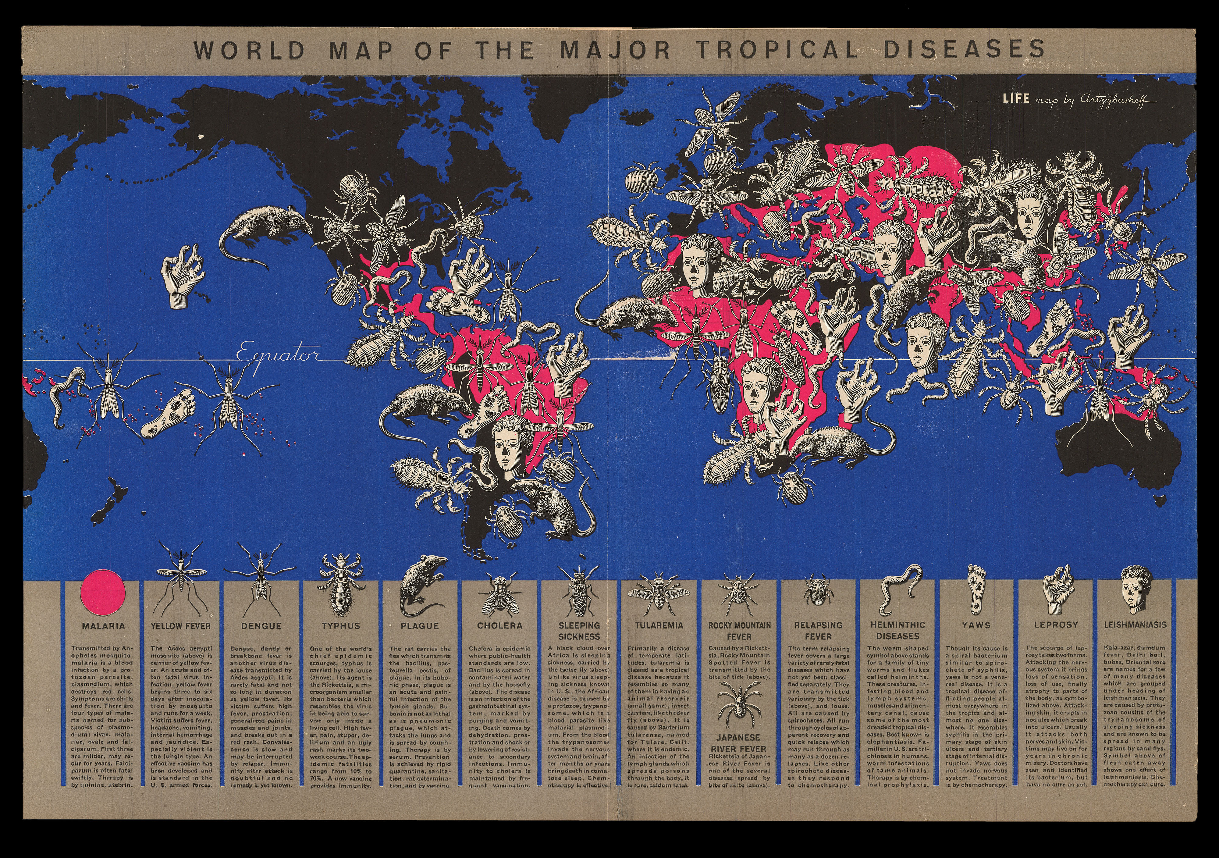 ARTZYBASHEFF, Boris World Map of the Major Tropical Diseases.