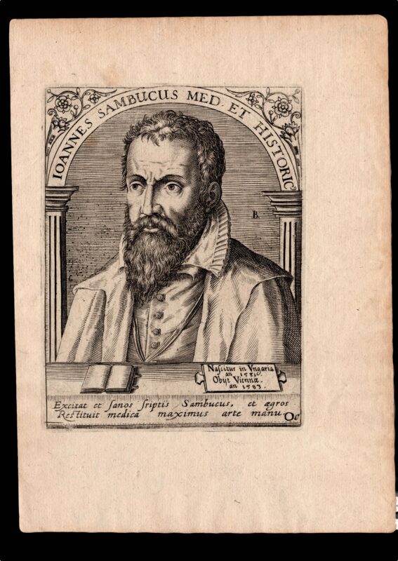 10 ZSAMBOKY PROFILES visual data 2