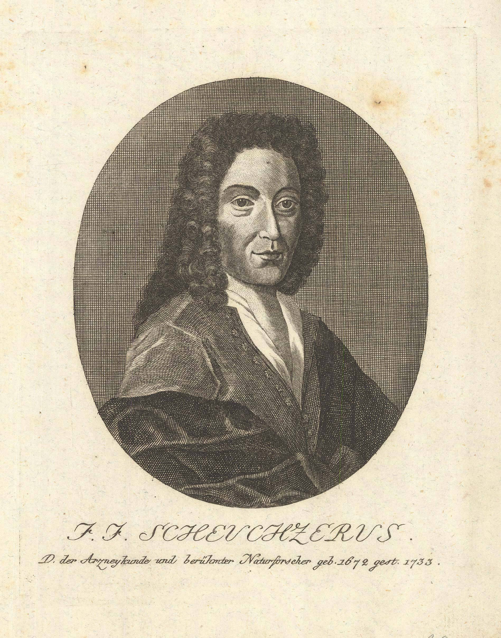 [ANONYMOUS] J. J. Scheuchzerus