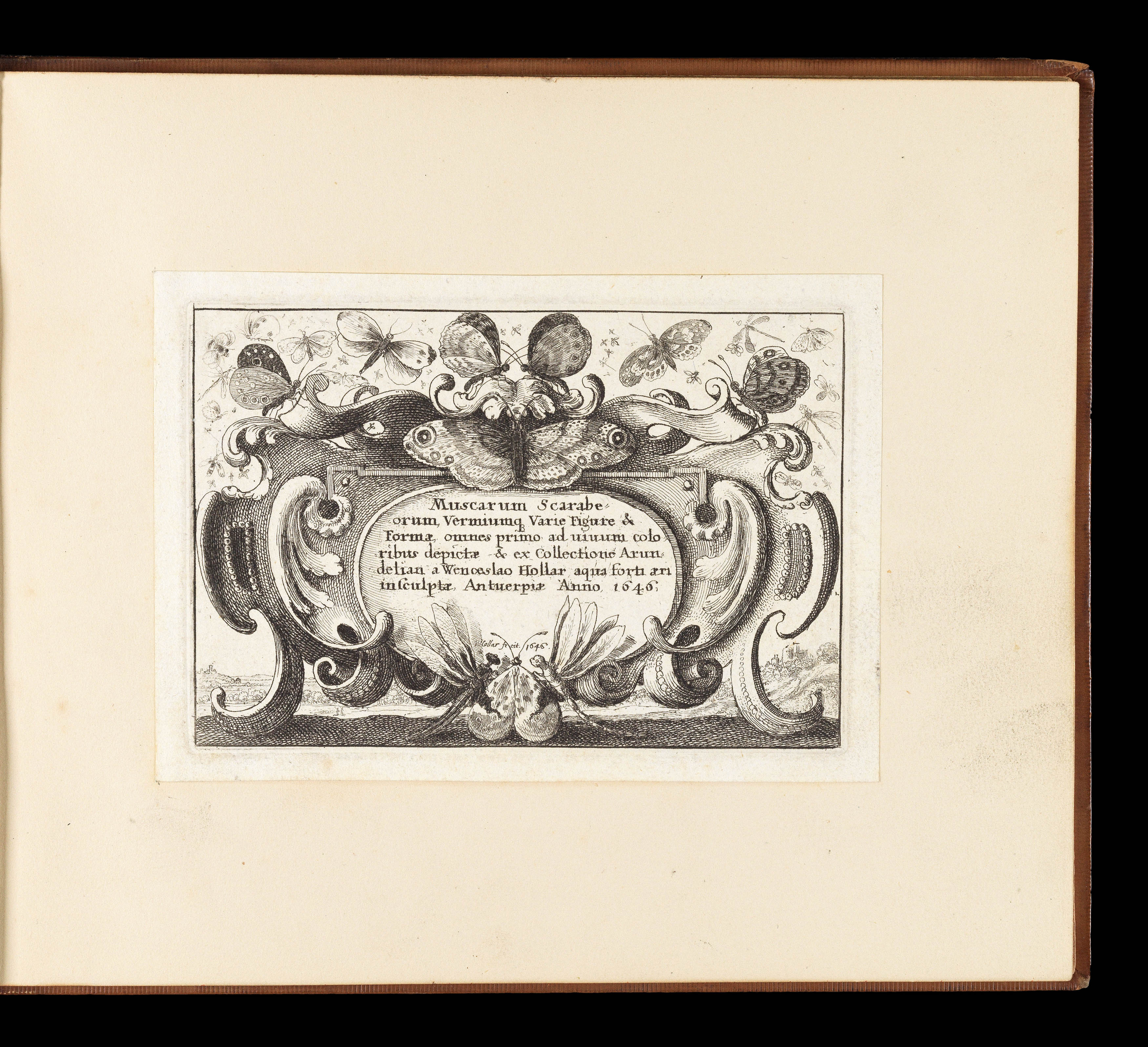 HOLLAR, Wenceslaus Muscarum scarabeorum vermiumq varuiae figure & formae.