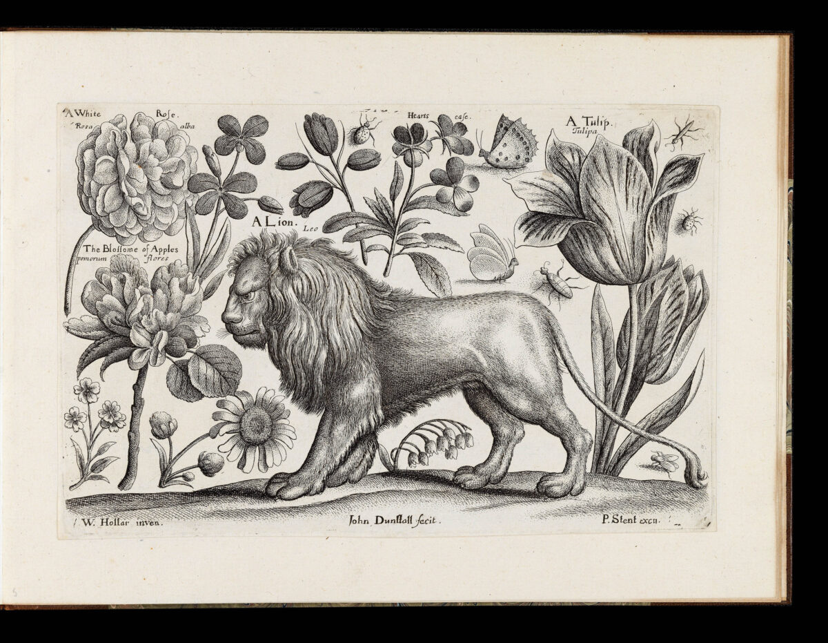 HOLLAR, Wenceslaus Animalium, ferarum, et bestiarum,