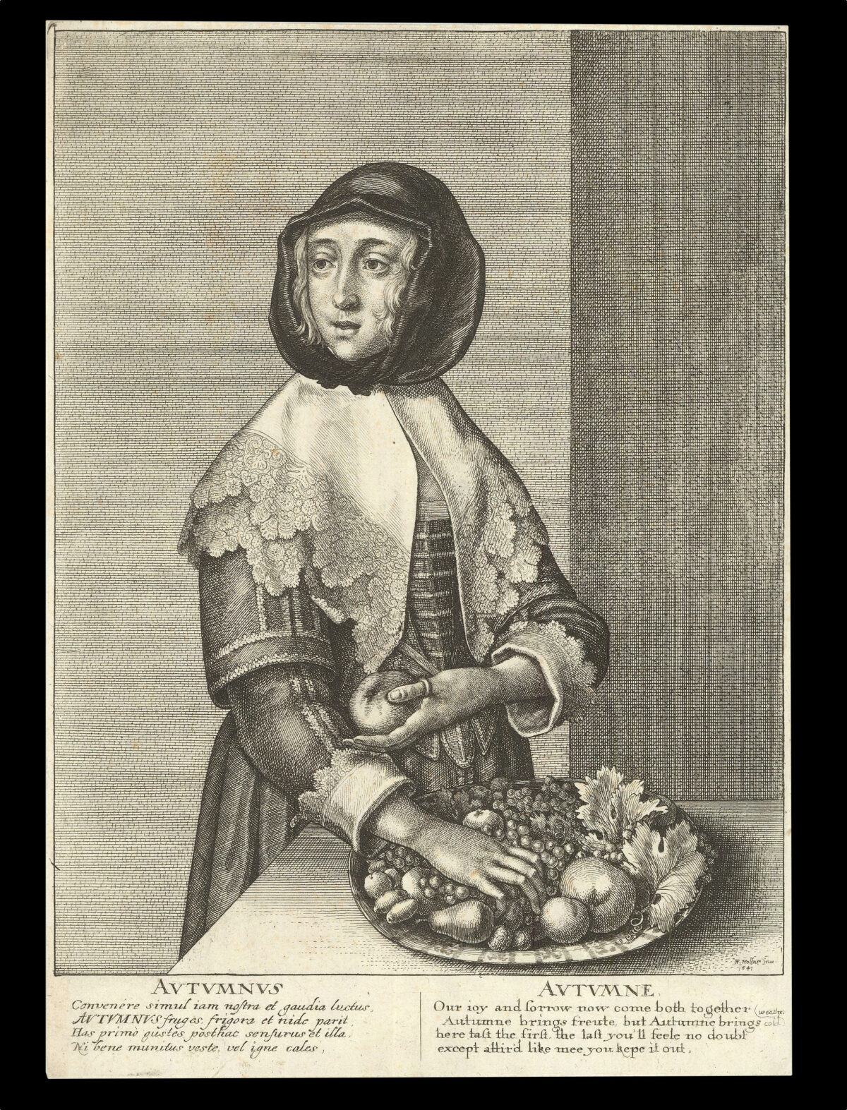 HOLLAR, W[enceslaus] Autumnus [and] Hiems [and] Aestas [and] Ver
