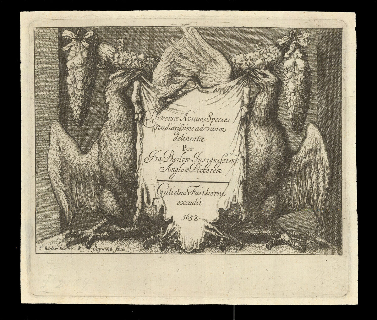 HOLLAR, W[enceslaus] [after] Francis BARLOW Diversae Avium Species Studiosissime ad Vitam Delineatae