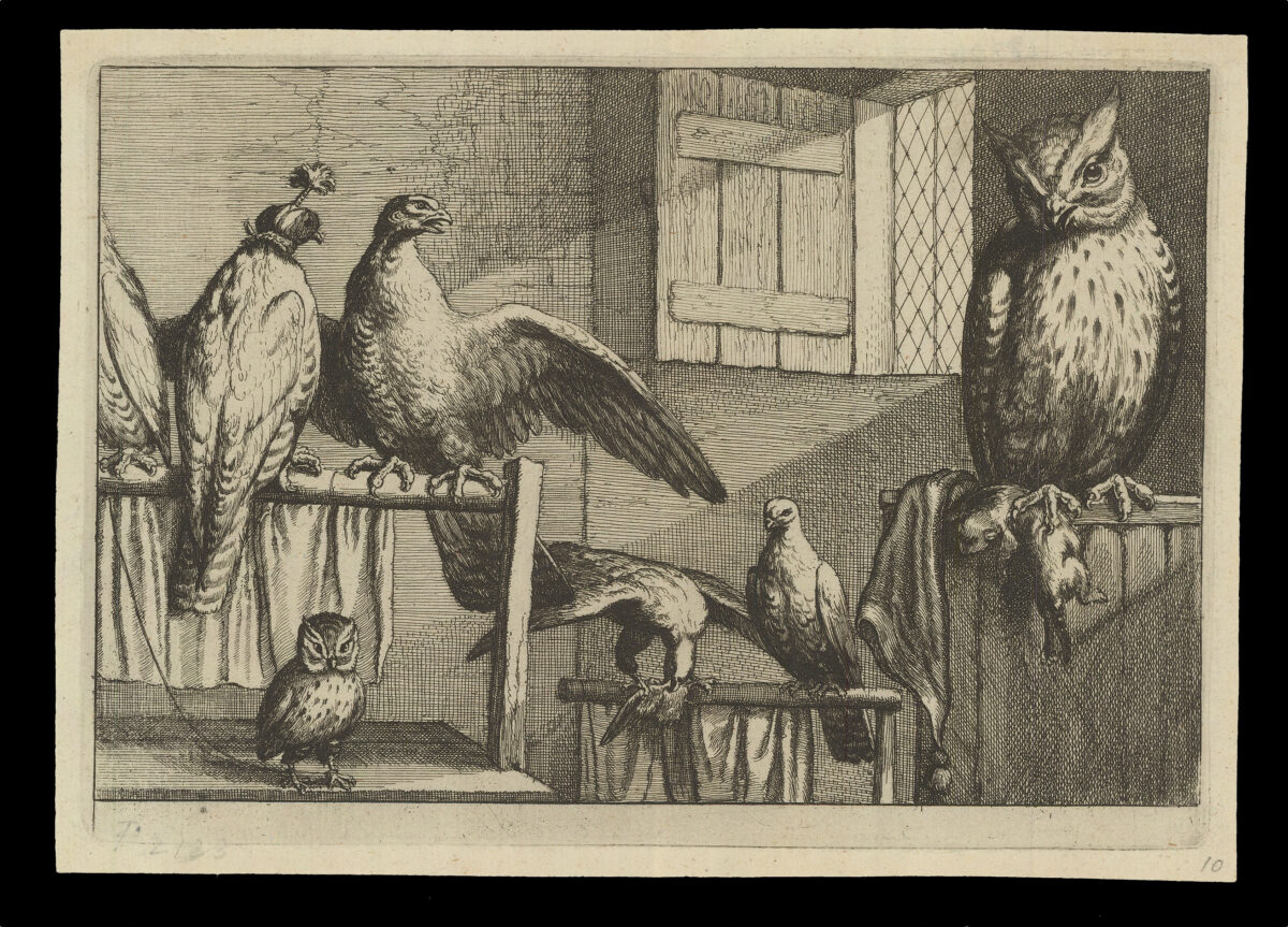 HOLLAR, W[enceslaus] [after] Francis BARLOW Diversae Avium Species Studiosissime ad Vitam Delineatae