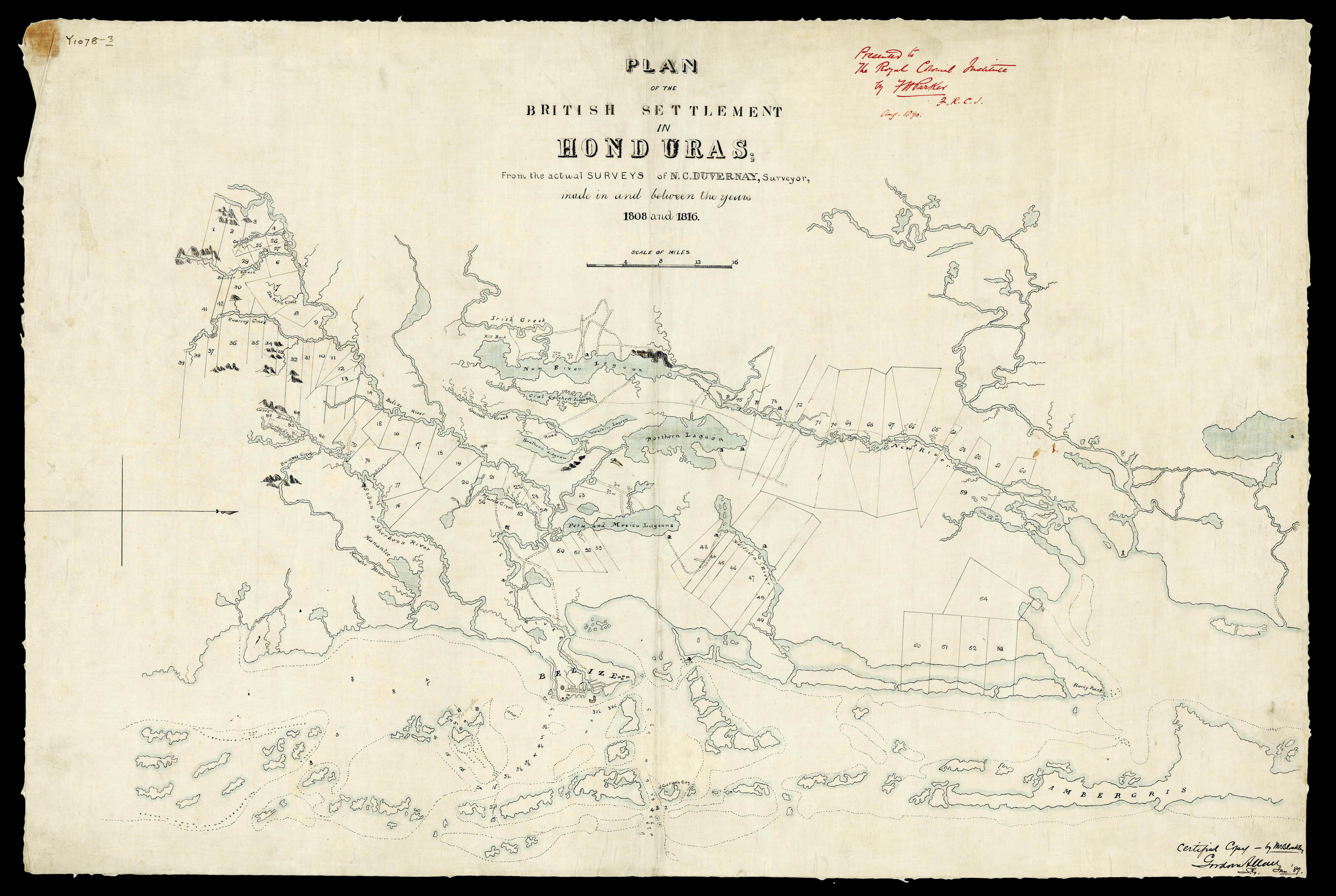 DUVERNAY, N.C. Plan of the British Settlement in Honduras