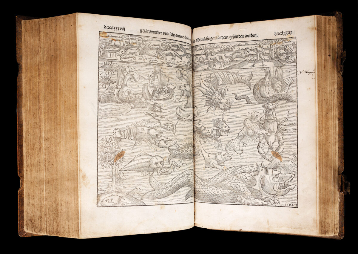 MÜNSTER, Sebastian Cosmographei,